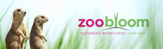zoobloomfeature